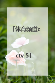 「体育频道cctv 5」体育频道节目表