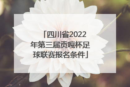 四川省2022年第三届贡嘎杯足球联赛报名条件