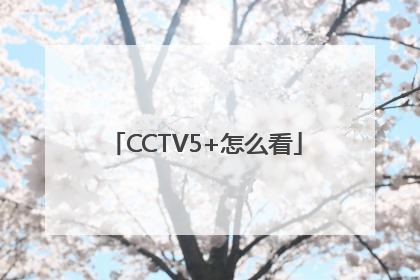 CCTV5+怎么看